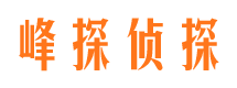 泸定婚外情调查取证